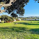 Dome Campo de lujo