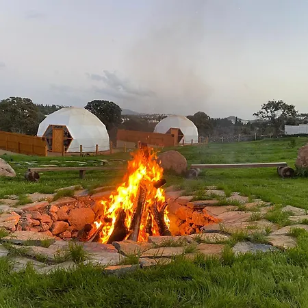 Dome * بودروم
