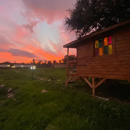 Dome Campismo de Luxo *