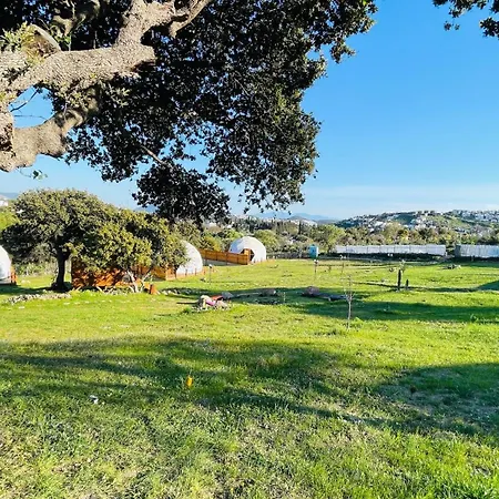 Dome Luxury tent