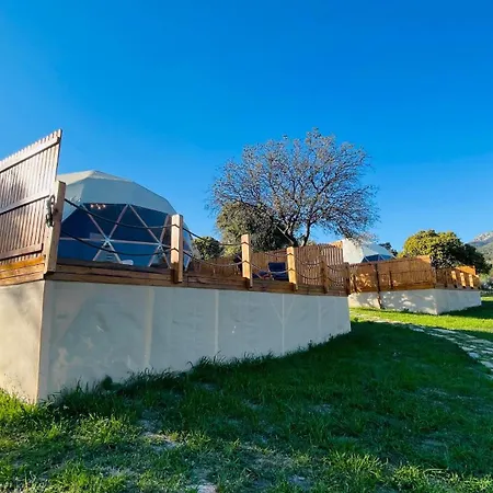 Dome بودروم