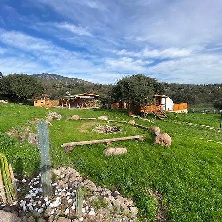 Lüks kamp alanı Dome *