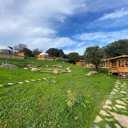 Dome Lüks kamp alanı *