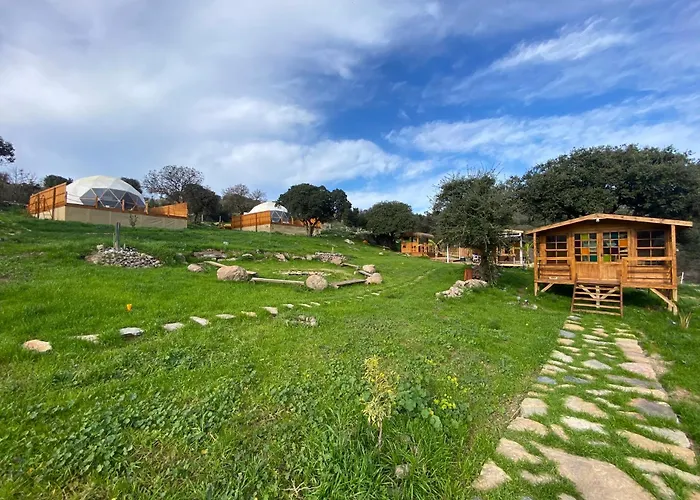 Dome Lüks kamp alanı *